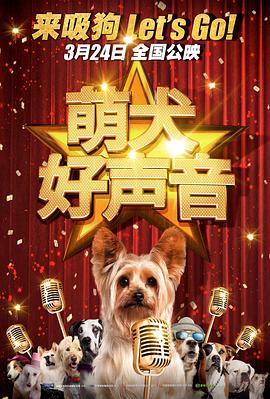 伦理电影播放