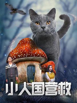 长款