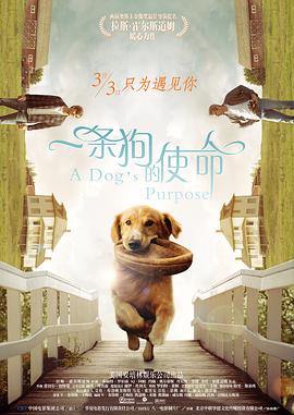 我老婆的门徒