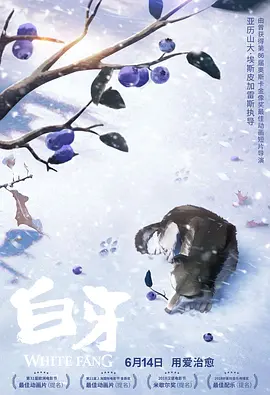 377久久日韩精品免费