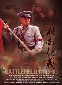 怡红院在线观看视频