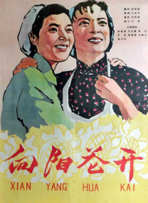 婶房