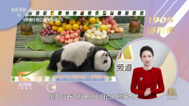人人为我我为人人核基地